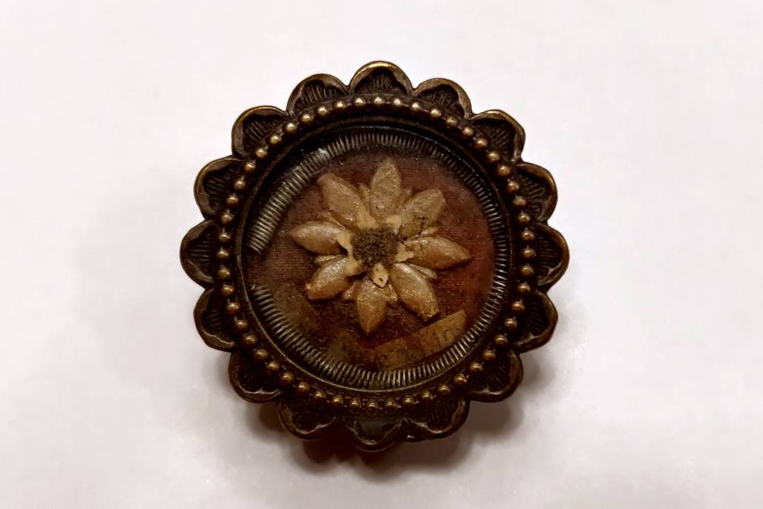 Relic of St. Theresa - Historical Archives - Jesuits, Euro-Mediterranean Province